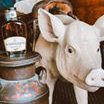 Who doesn’t love Brother Jimmy’s and @whistlepigwhiskey!? 🐷🥃 Make sure - July 2, 2019, 5:43 p.m.